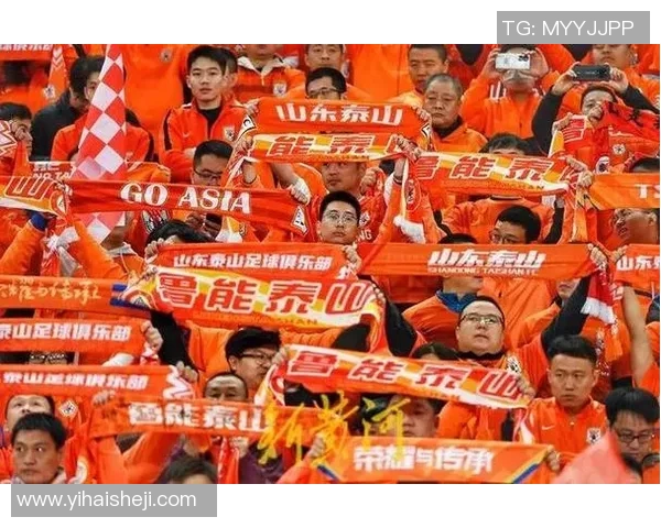 球迷众筹建训练场，仅用10天就完成筹资目标